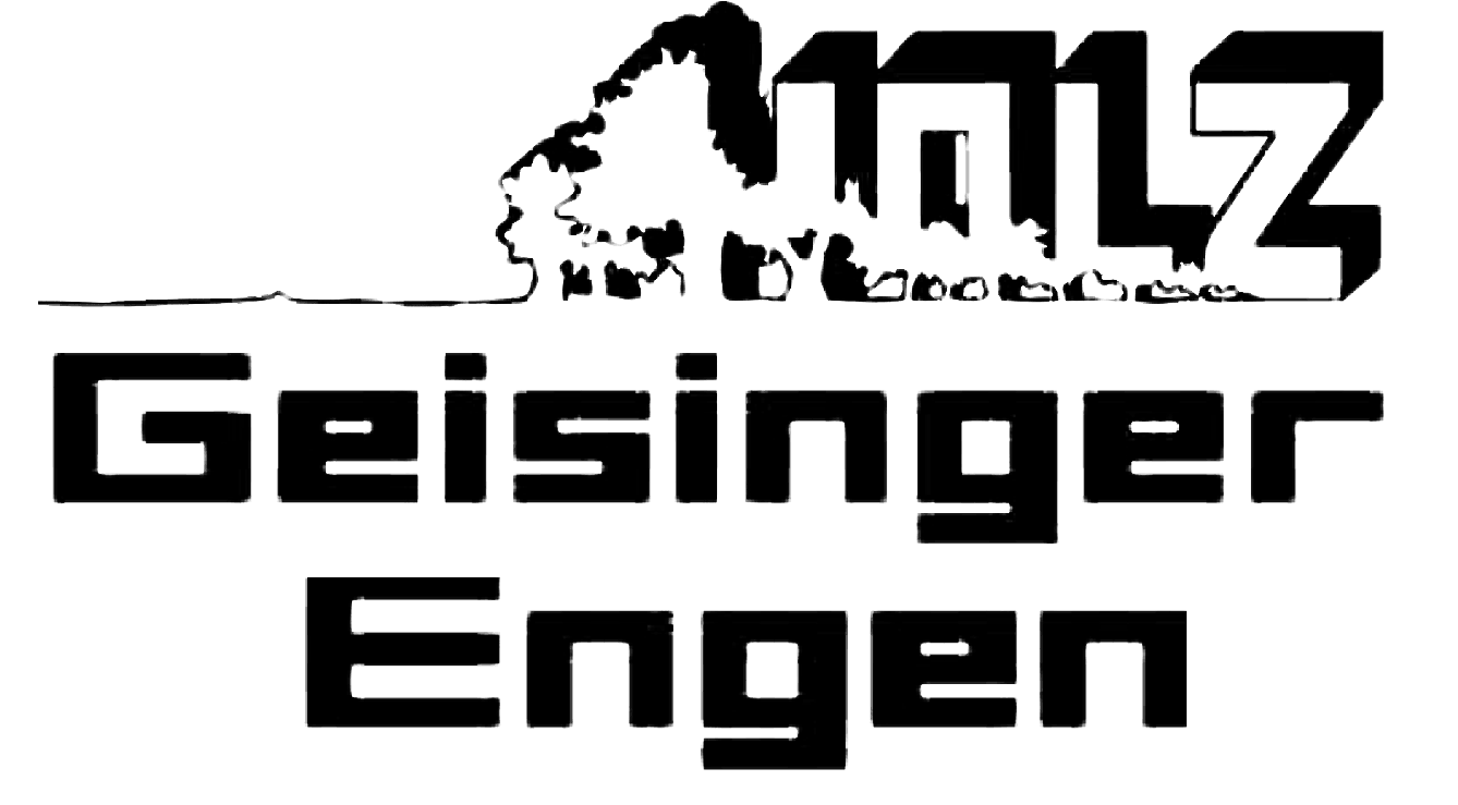 Logo Holz Geisinger – Kunde von DANLIN Media