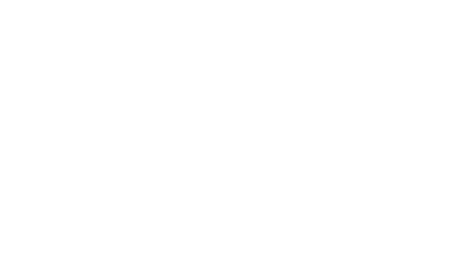 Logo Rocco der Fahrradladen – Kunde von DANLIN Media